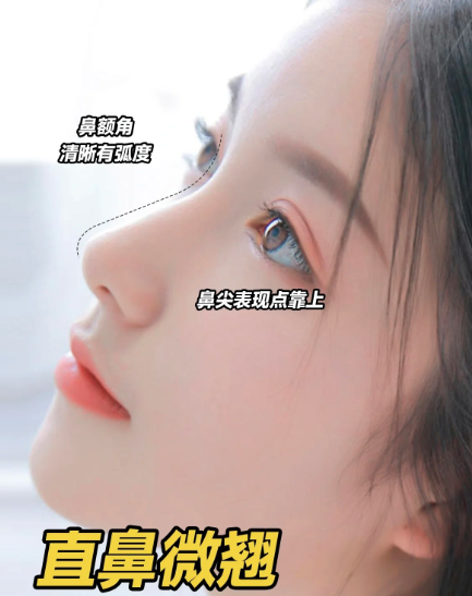 2023年主流爆款鼻型：直鼻微翹、高挺直鼻、微駝峰華麗鼻、媽生自然鼻哪個(gè)更好看